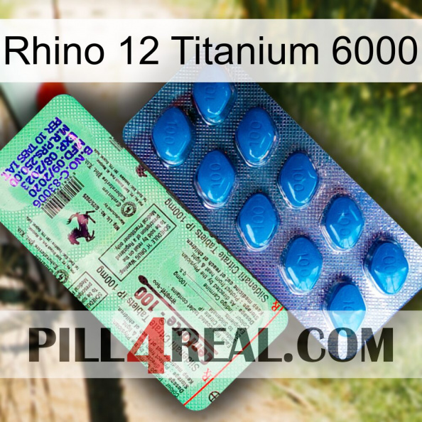 Rhino 12 Titanium 6000 new02.jpg